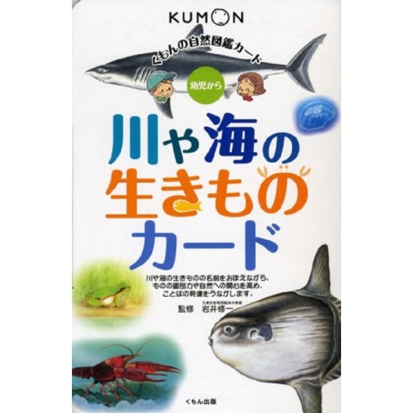 ﻿Kawa Ya Umi no Ikimono Kumon Flash Cards - Edição Japonesa 川や海の生きものカード - くもんの自然図鑑カード
